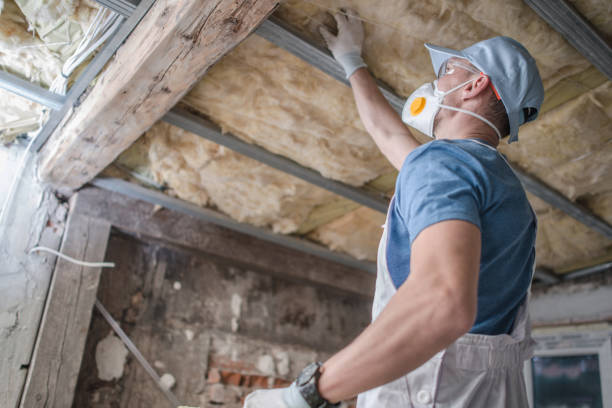 Best DIY Insulation Kits and Guidance in Telford, PA