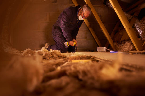 Best Geographic-Specific Insulation Services in Telford, PA